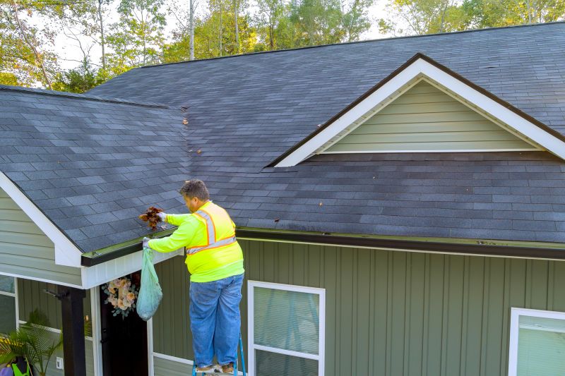 Gutter Cleaning Professionals